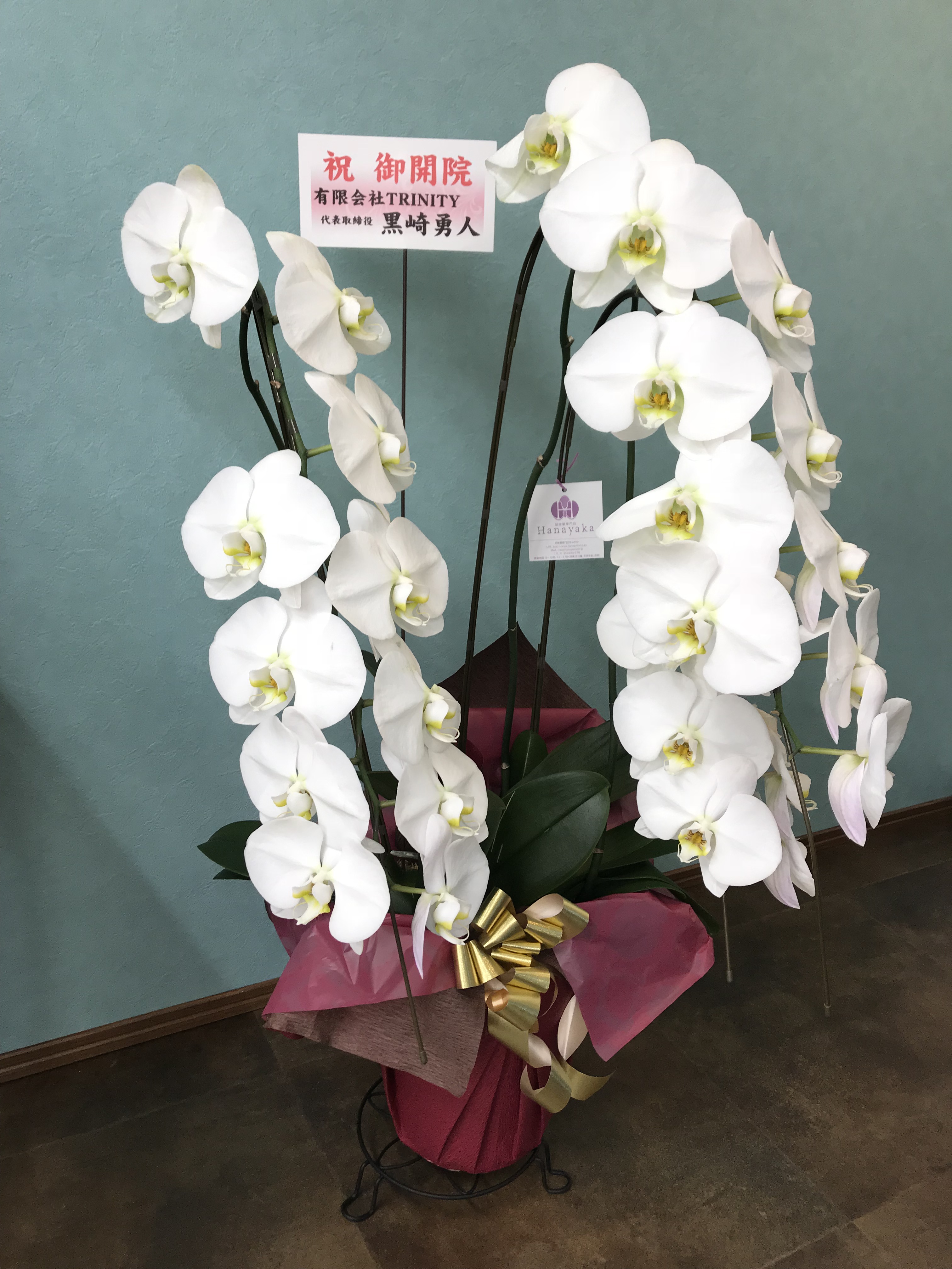 TRINITYカイロプラクティック 黒崎代表より TRINITYカイロプラクティック 黒崎代表より